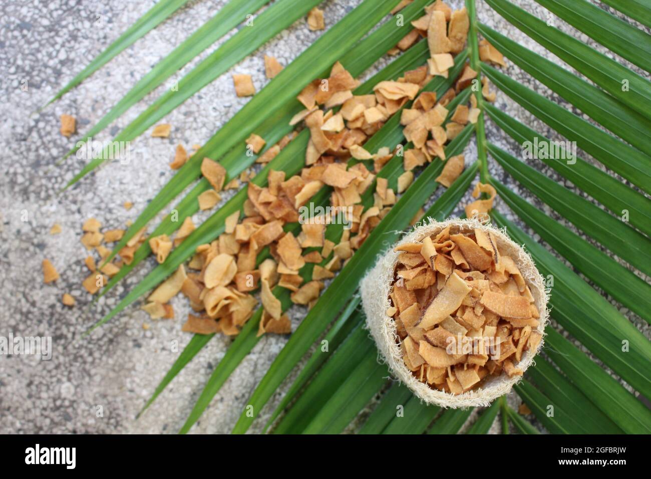 Dried coconut leaves hires stock photography and images Alamy