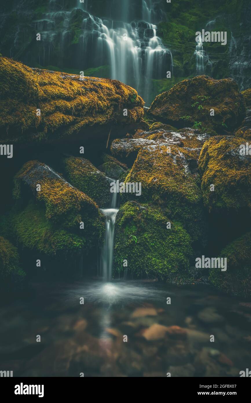 Mossy rocks and waterfall in the lush Willamette forest, Proxy Falls, Oregon Stock Photo