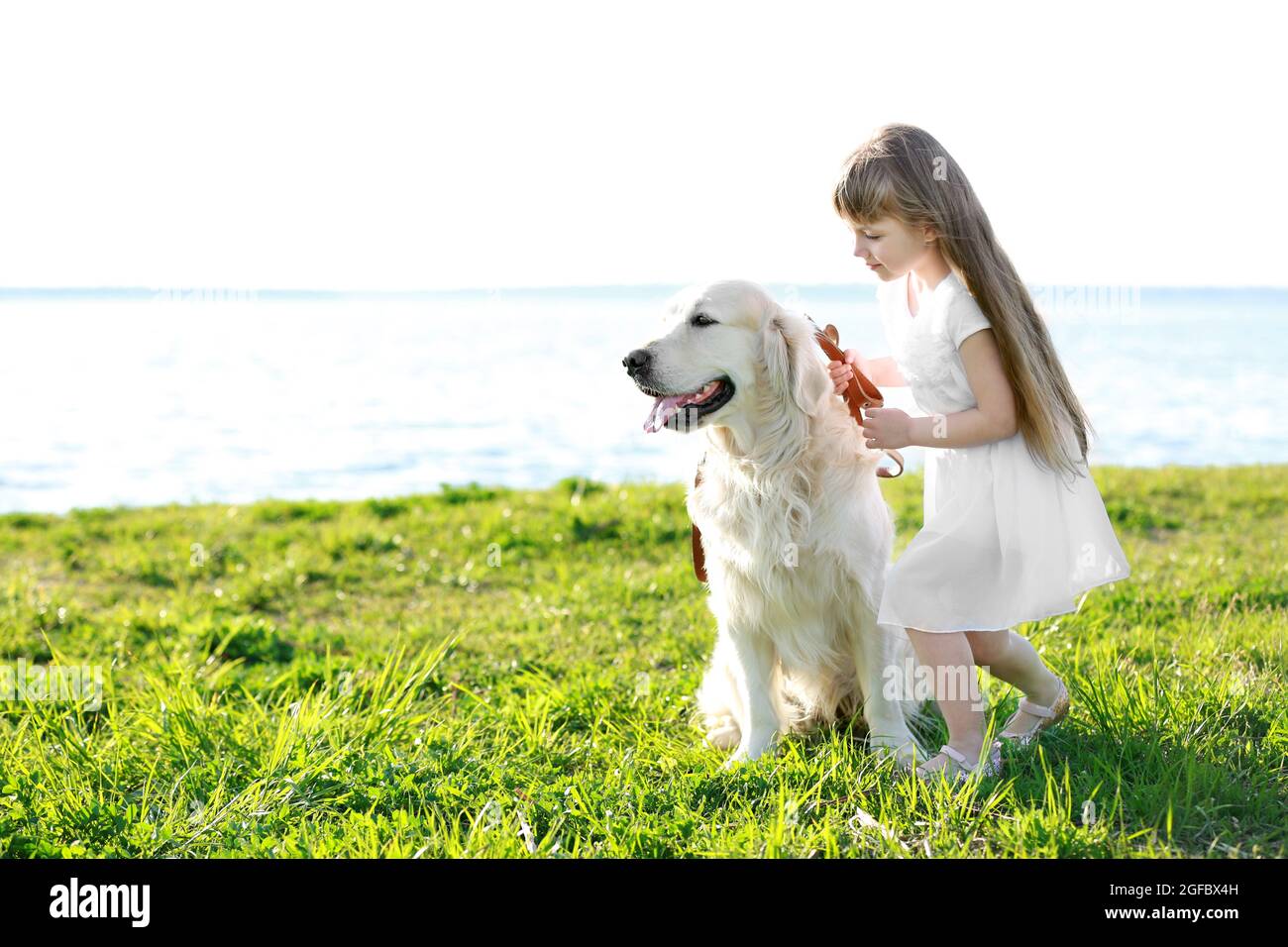 little-girl-and-big-kind-dog-on-the-riverside-stock-photo-alamy