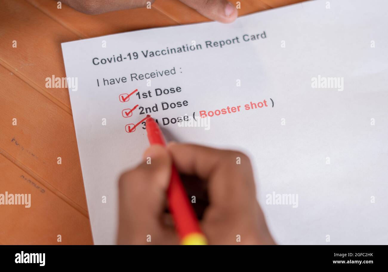 POV close up shot of hands checking Covid-19 vaccine report card and ticking 3rd or booster dose after vaccination Stock Photo