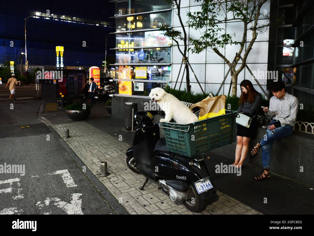 A dog in a basket on a scooter in Seoul, South Korea. Stock Photo