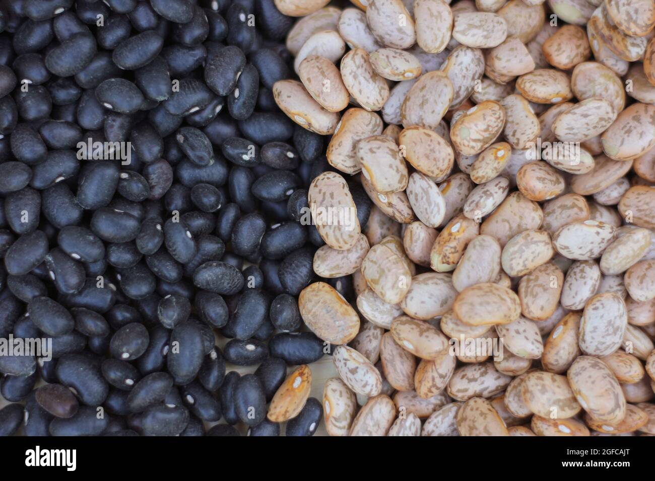 Black Beans and Pinto Beans Spilled on Kitchen Counter Stock Photo Alamy