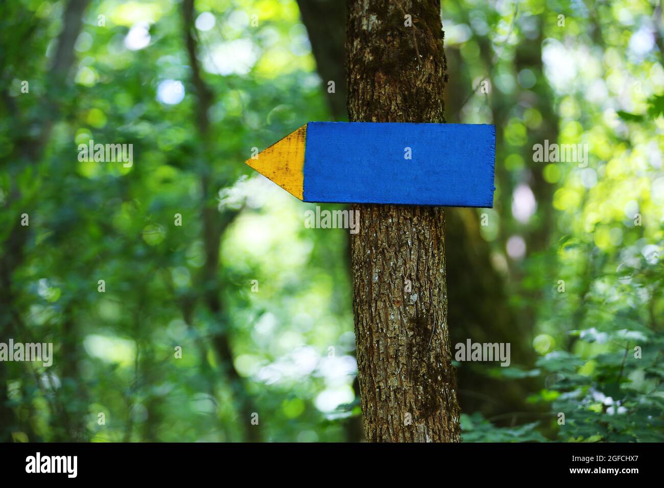 Tree with a sign and arrow Stock Photo - Alamy