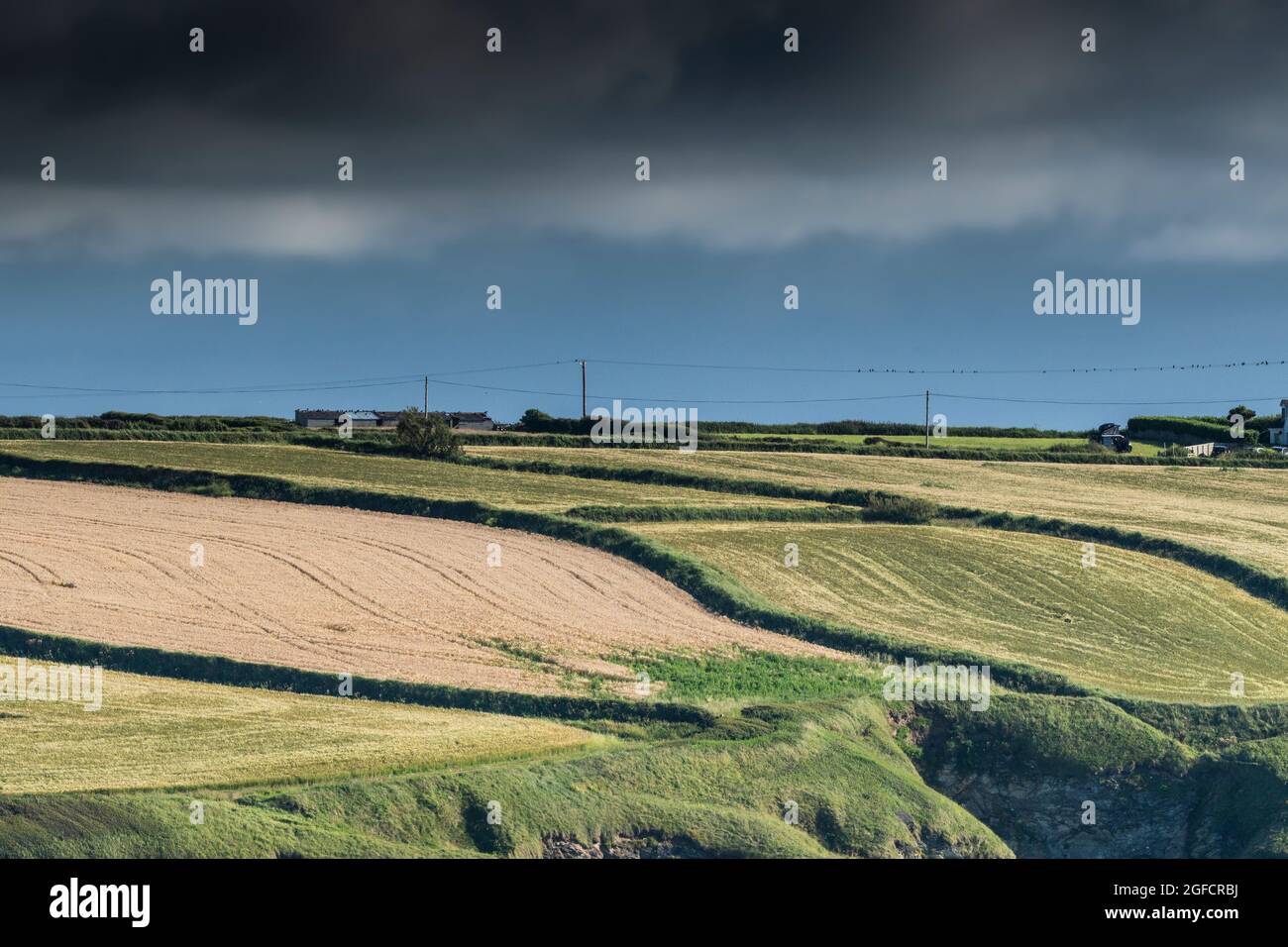 Farm land in Newquay in Cornwall Stock Photo Alamy