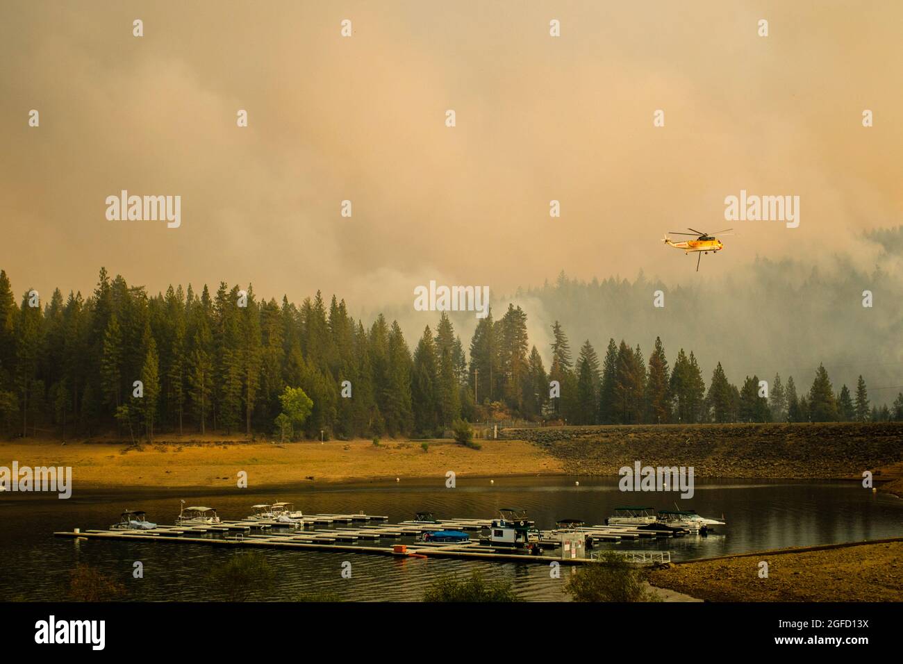 Pollock Pines, United States. 23rd Aug, 2021. Trees burn near a drought