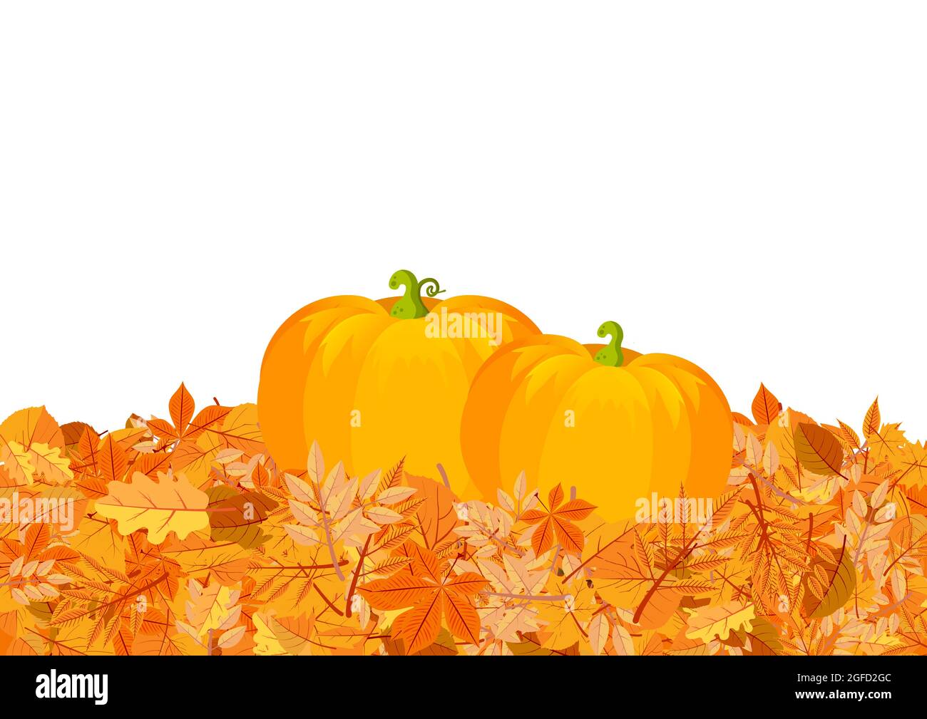 Pumpkins on autumn leaves flat vector illustration Stock Vector Image ...