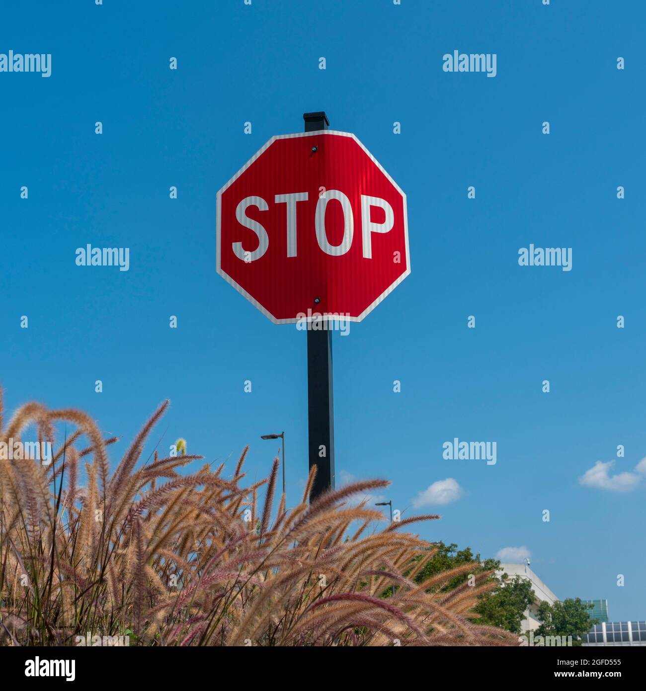 King of Prussia Shopping Mall Stock Photo Alamy