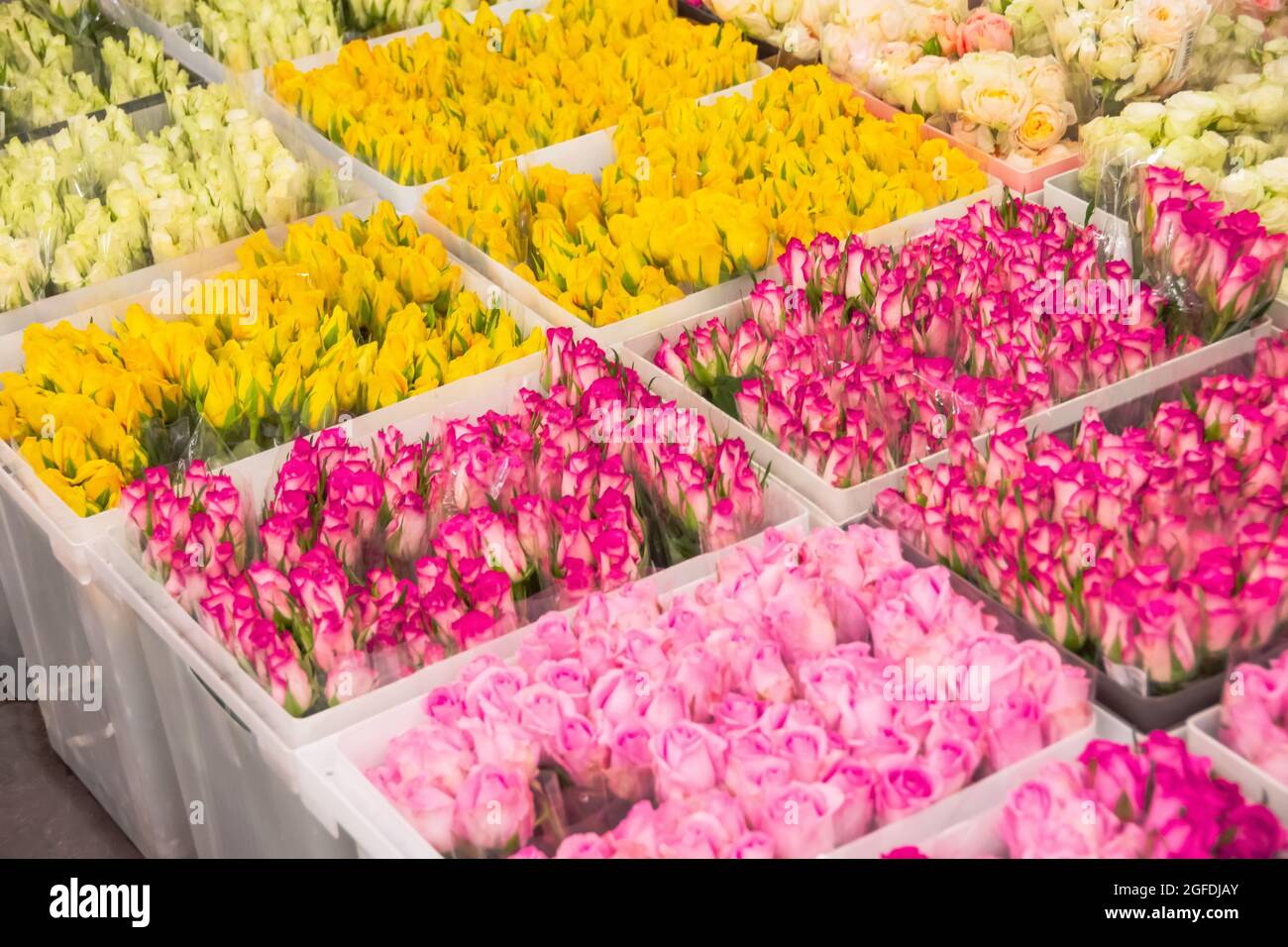 Flower shops hires stock photography and images Alamy