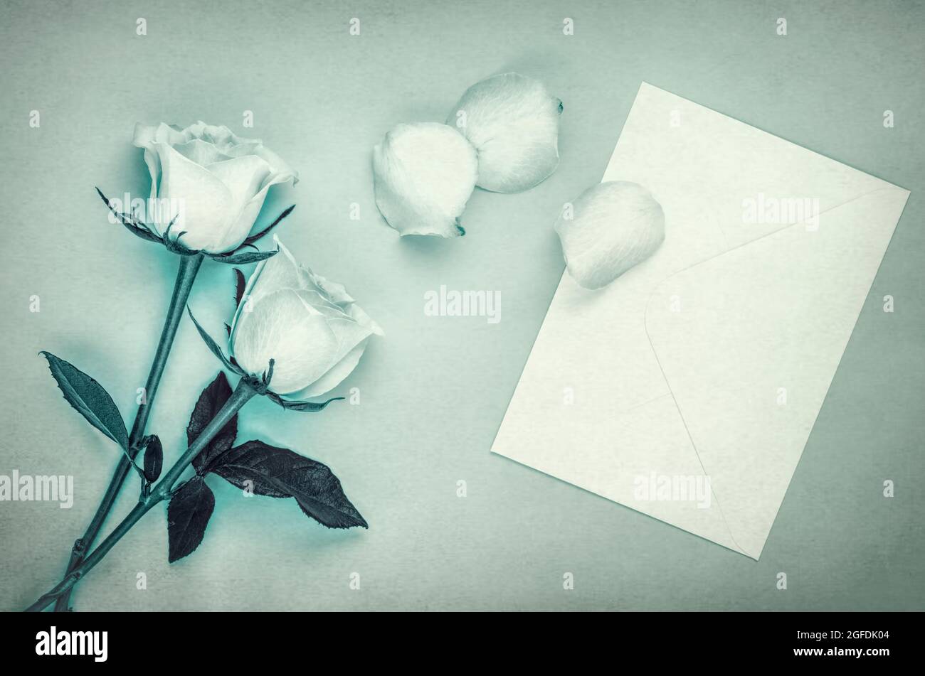 Two roses and envelope with texture overlay monochromatic effect Stock Photo