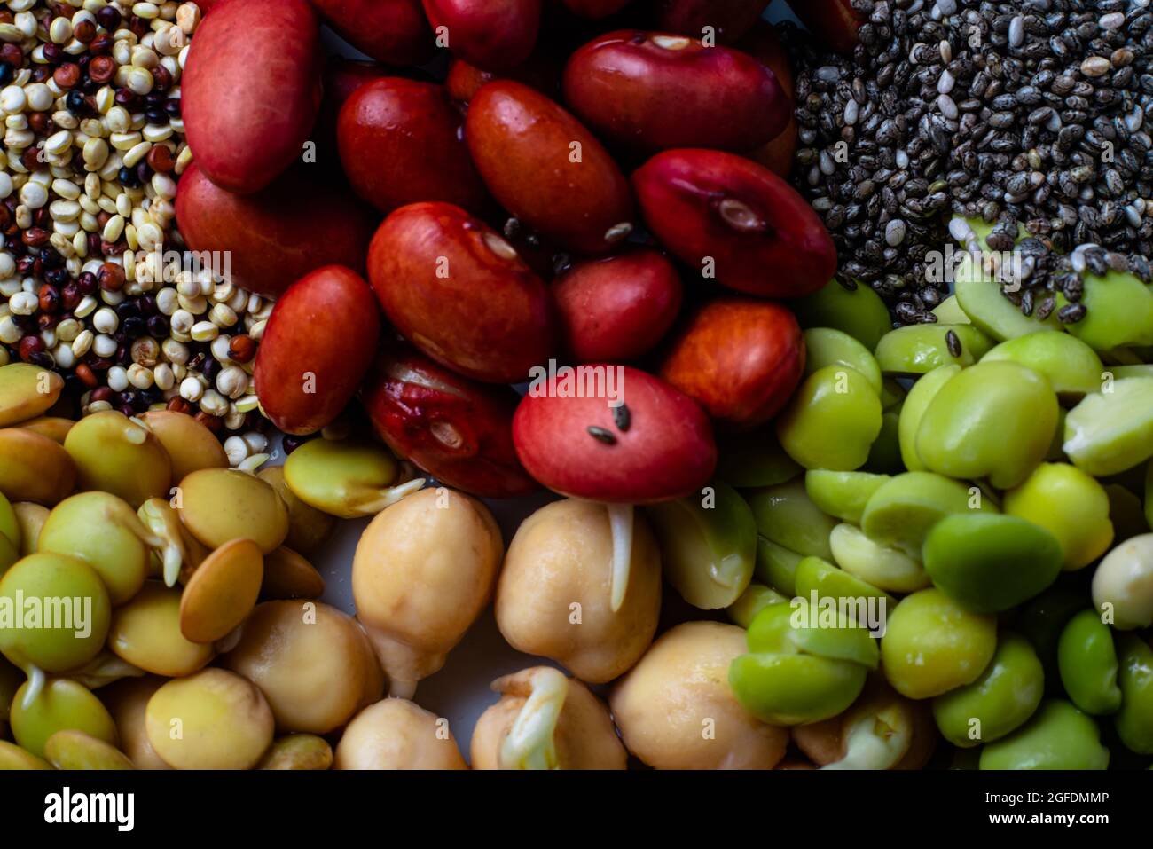 Comida vegana. Close-up da mistura de sementes germinadas. Stock Photo
