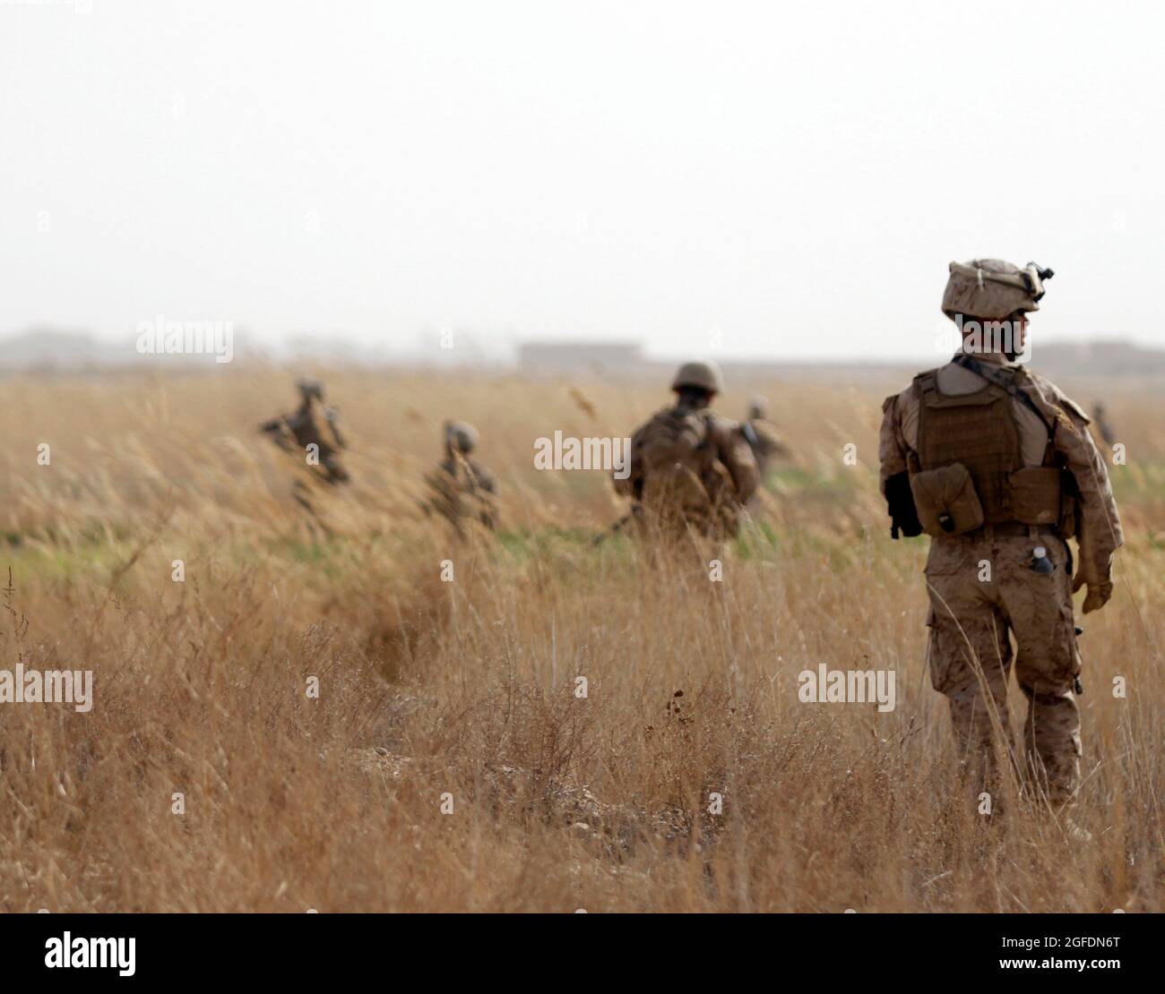 Marines of Combined Anti-Armor Team 1, Weapons Company, 1st Battalion, 3rd Marine Regiment, patrol with Marines of Charlie Co., 1/3, through a grassy field in the Five Points area Feb. 14.  During the patrol, Marines held their first meeting with village elders in the area before engaging with Taliban fighters. Stock Photo