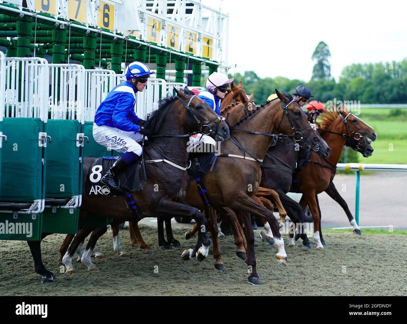 James owen jockey hires stock photography and images Alamy