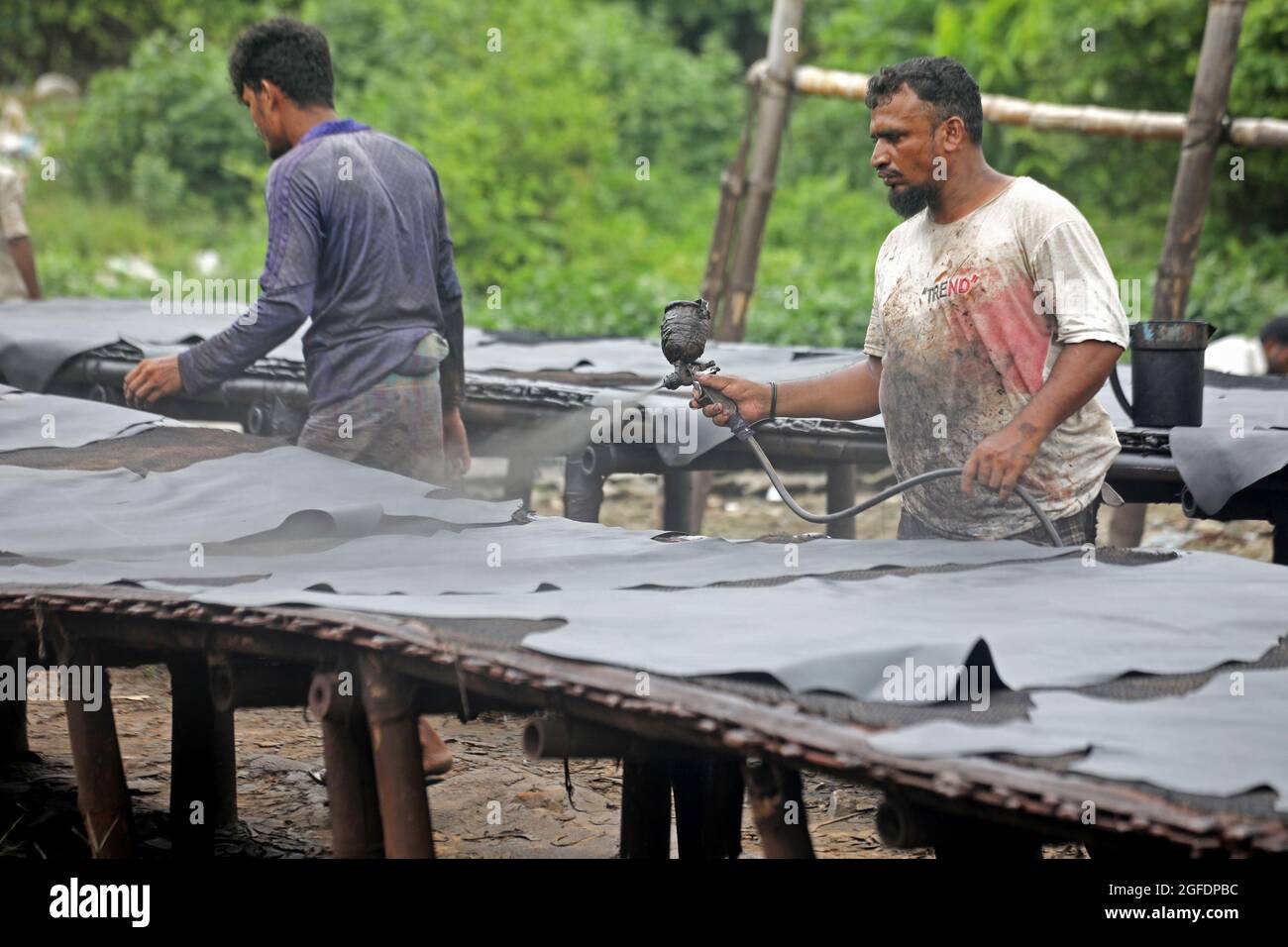 Dhaka, Bangladesh, August 25, 2021: Workers from Hazaribagh painting leather  as part of the finish process of leather tanning in a small factory to sell it to manufacture of shoes. Tanning consists of the hides being soaked, then in order to eliminate the salt in a solution of lime and water to soften the hair and eliminate them using a machine, then the residues are removed by hand with a blunt knife. Credit: Maruf Rahman  / Eyepix Group/Alamy Live News Stock Photo