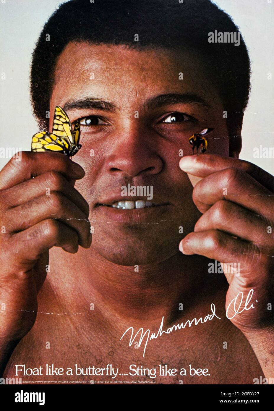 Sting Like A Bee High Resolution Stock Photography And Images Alamy Sting Like A Bee High Resolution Stock Photography And Images Alamy
