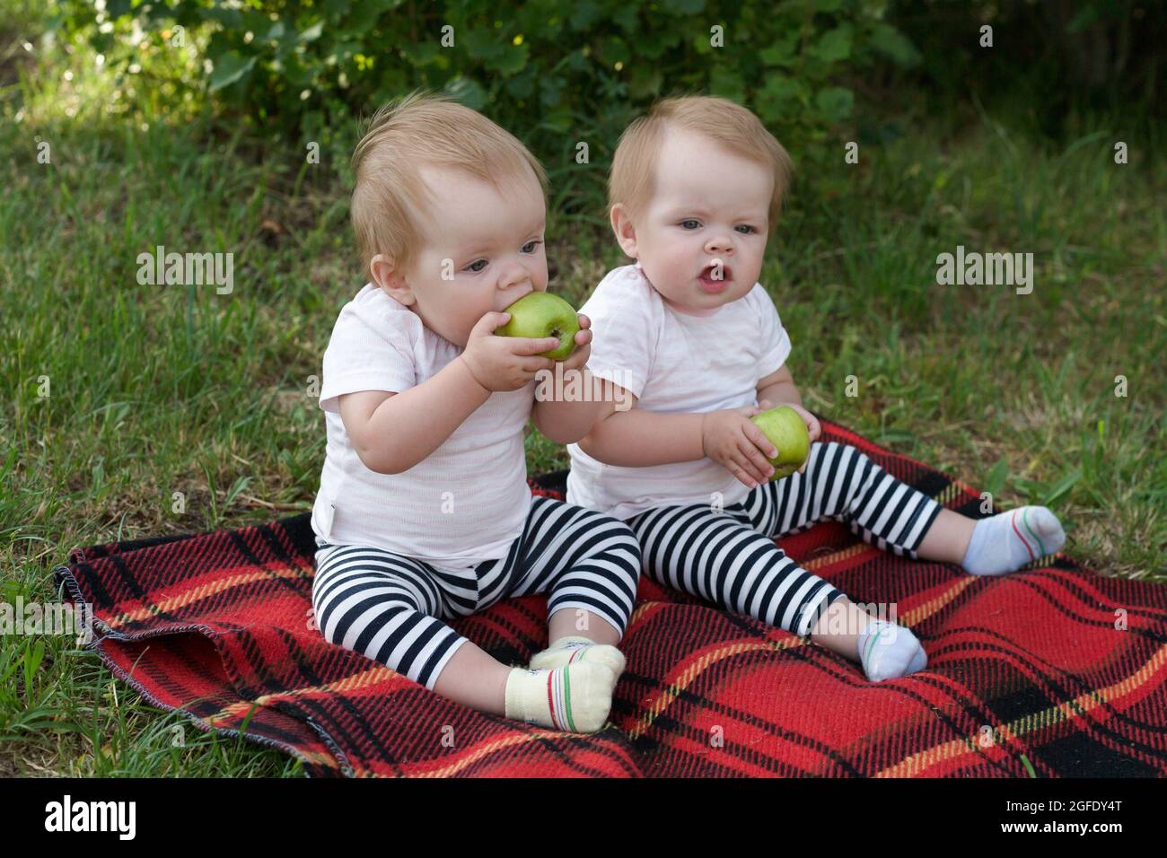 The offended child refuses to eat with his sister in park on a blanket