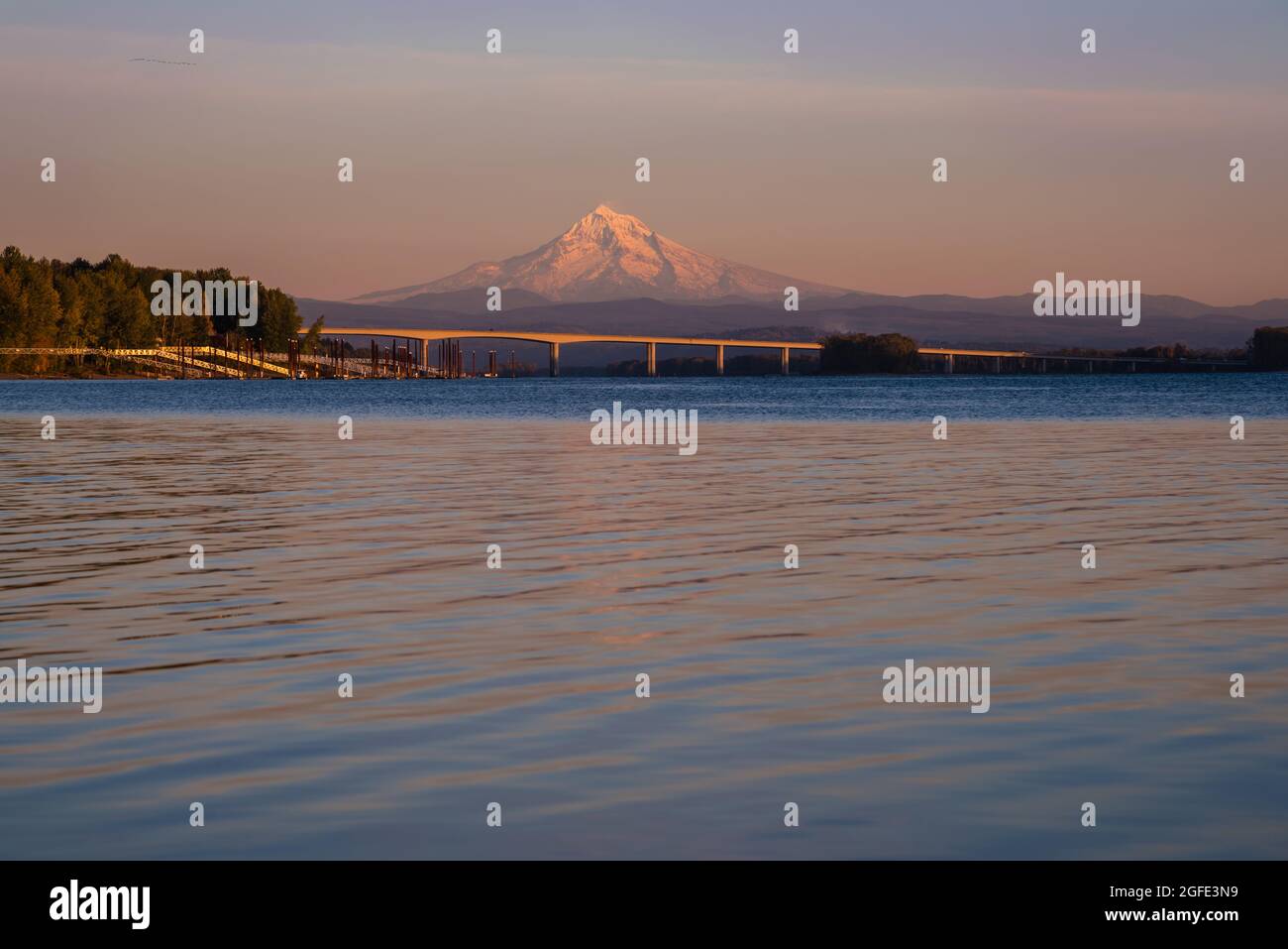 Visit northwest hi res stock photography - Mt Hood Oregon Over Columbia River At Sunset From Vancouver Washington Pacific Northwest United States 2GFE3N9