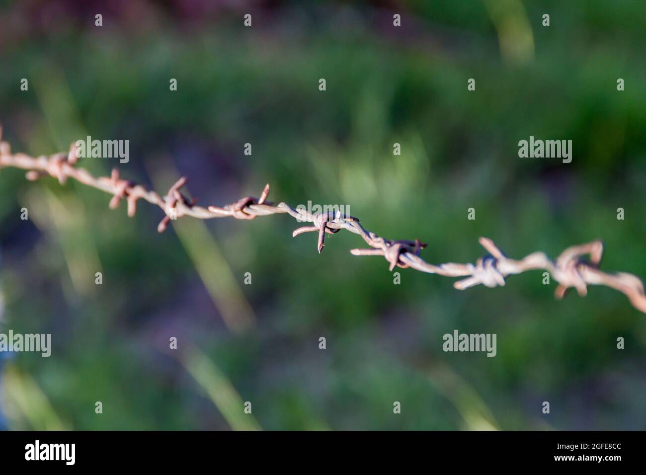 detail-of-barbed-wire-stock-photo-alamy