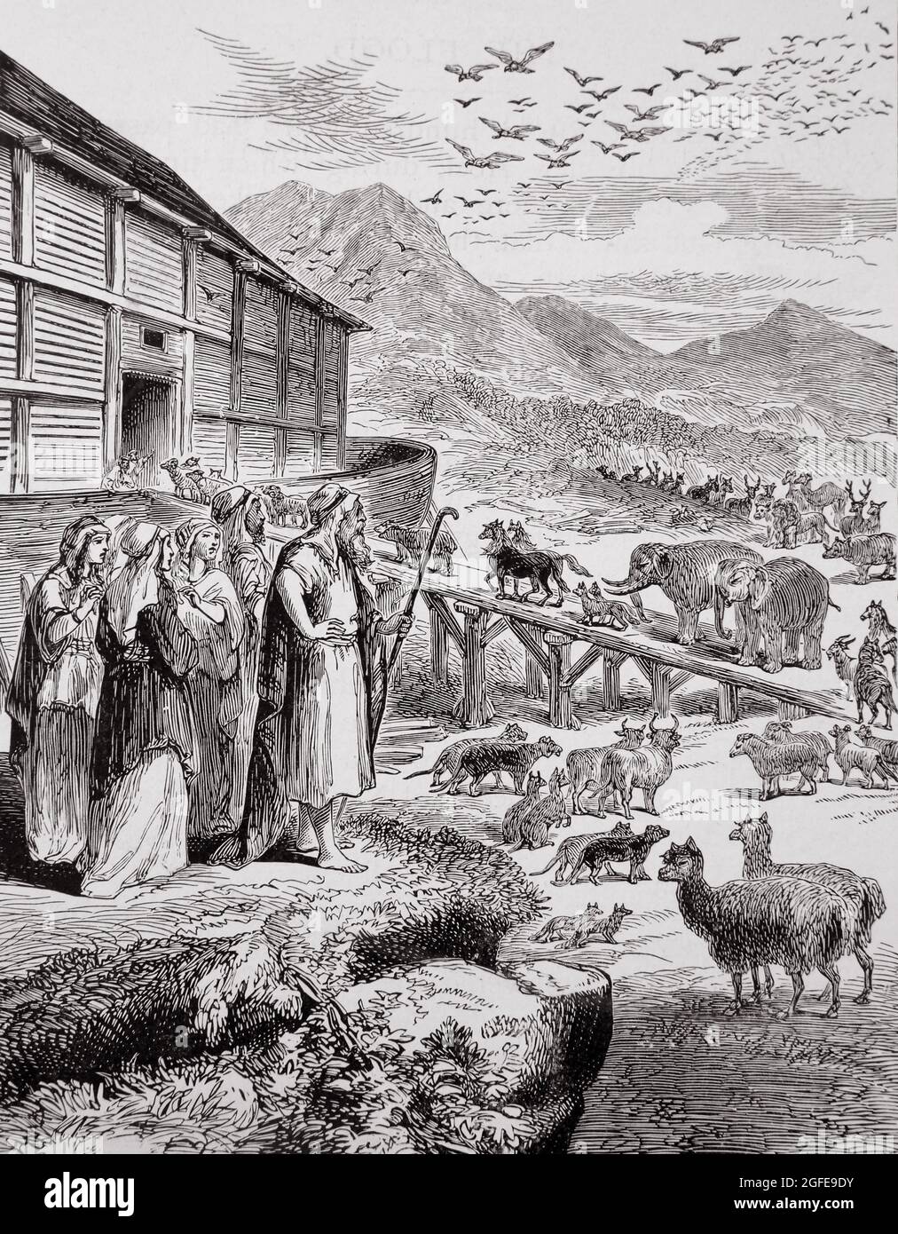 Illustration of the Animals Boarding Noah's Ark Two by Two from the Book of Genesis Old Testament Stock Photo