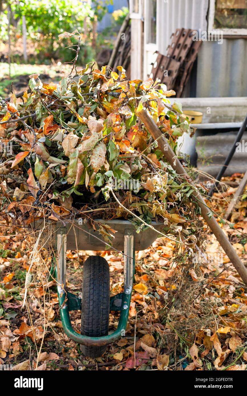 Wheelbarrow full plants in hi-res stock photography and images - Alamy
