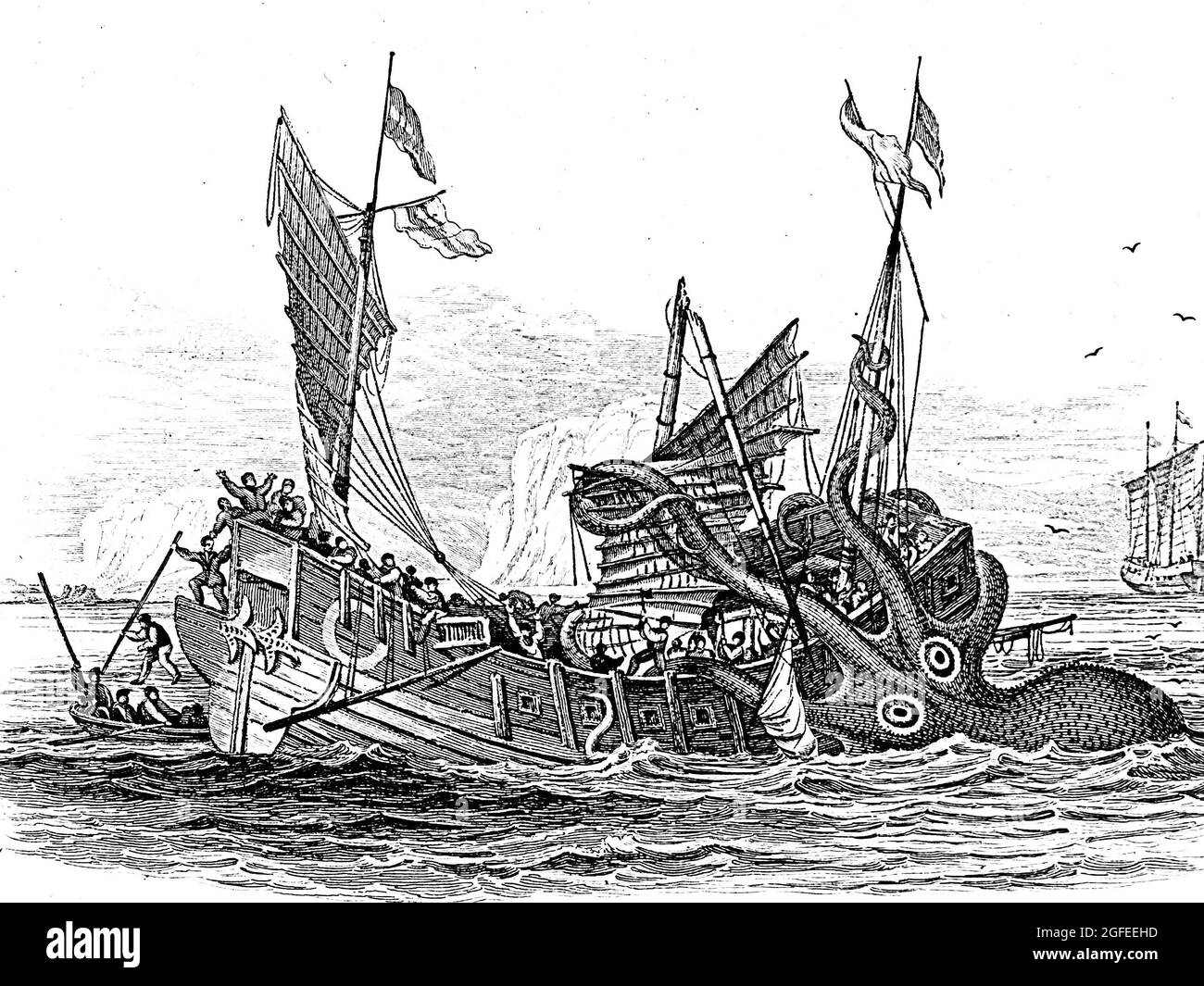 Pierre Denys de Montfort - Giant Octopus - 1810 Stock Photo