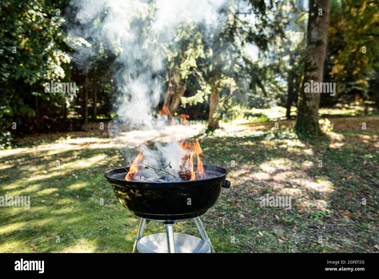 Barbecue grill in garden Stock Photo