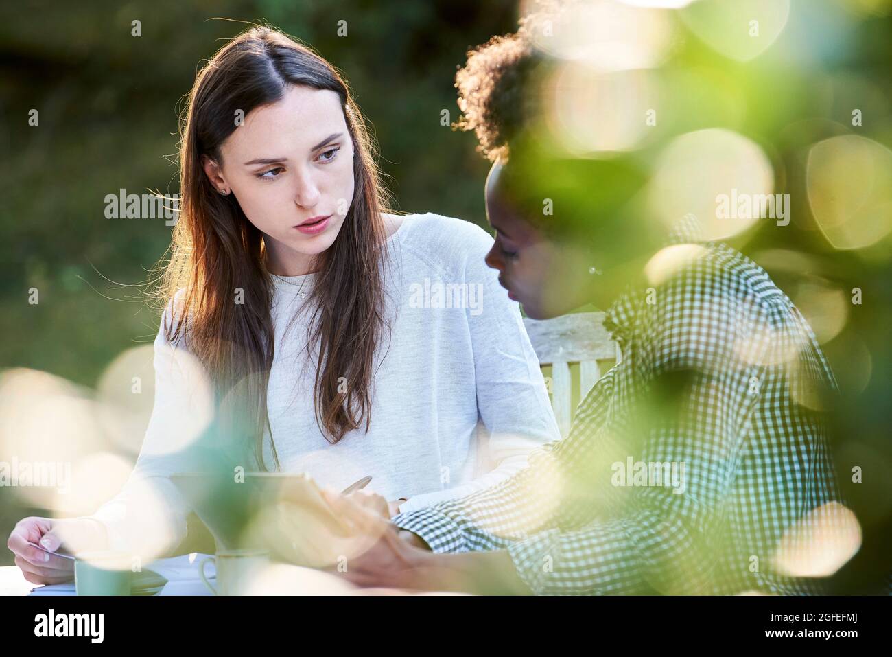 Young female friends using digital tablet while studying in park Stock Photo