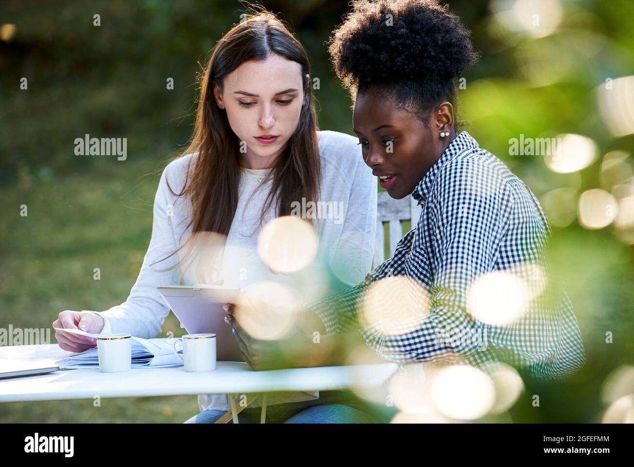 Young female friends using digital tablet while studying in park Stock Photo