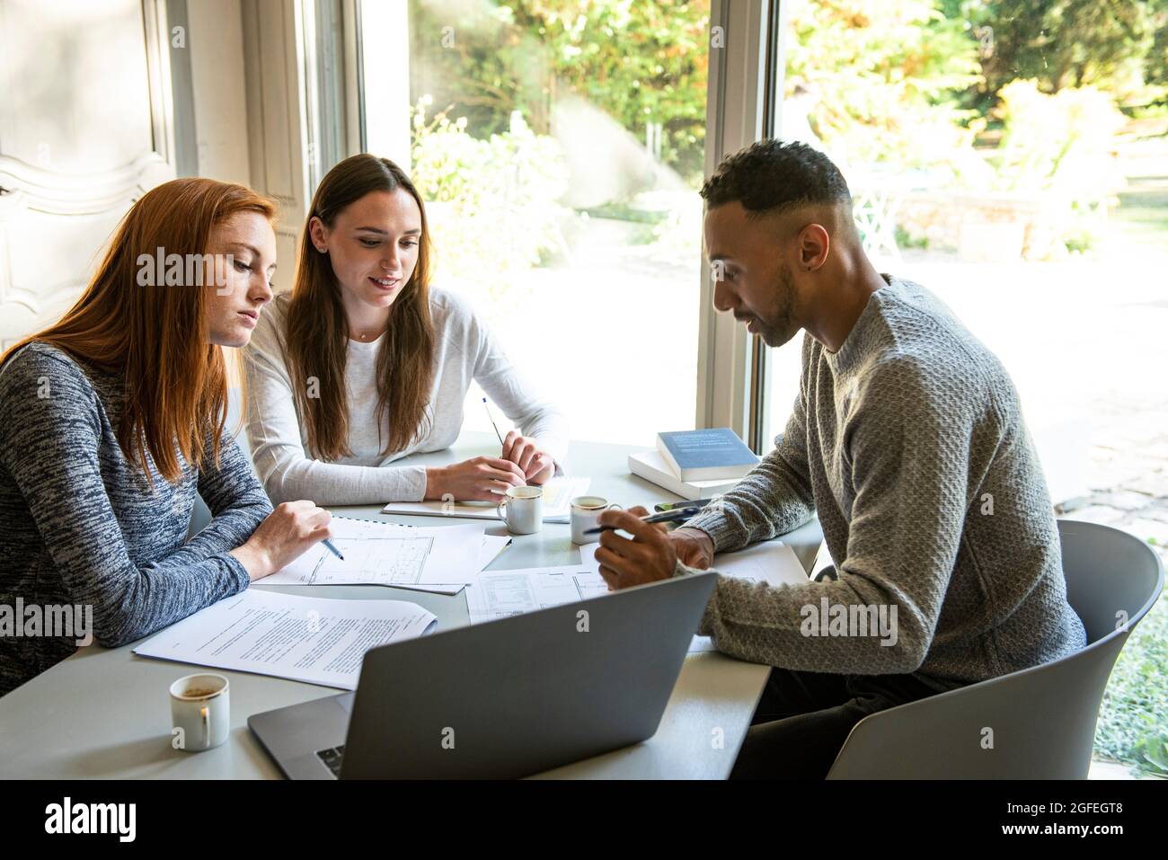Smiling young friends studying at home Stock Photo