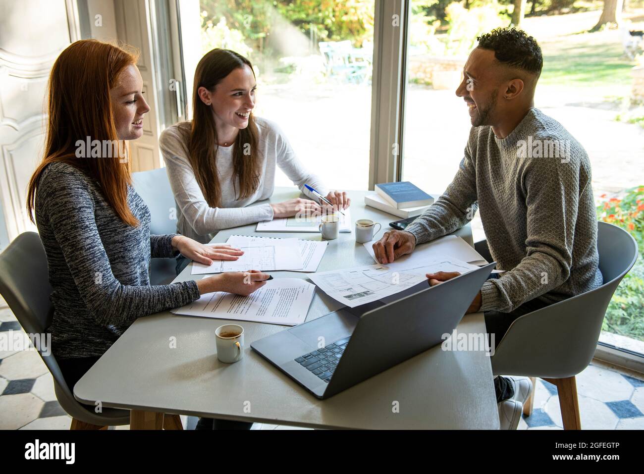 Smiling young friends studying at home Stock Photo