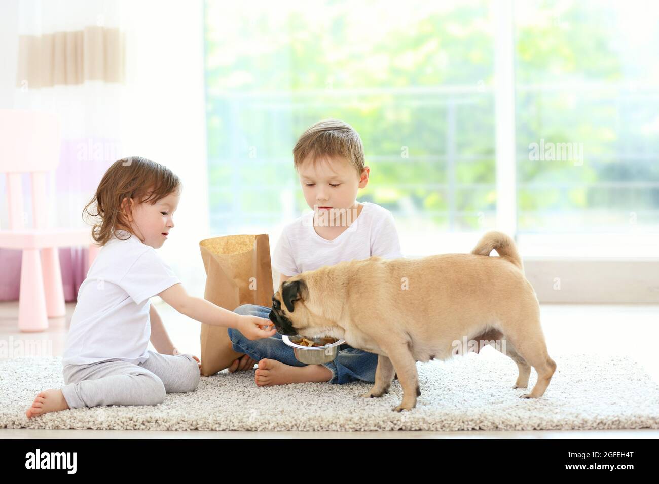 Cute boy and girl feeding small dog Stock Photo Alamy
