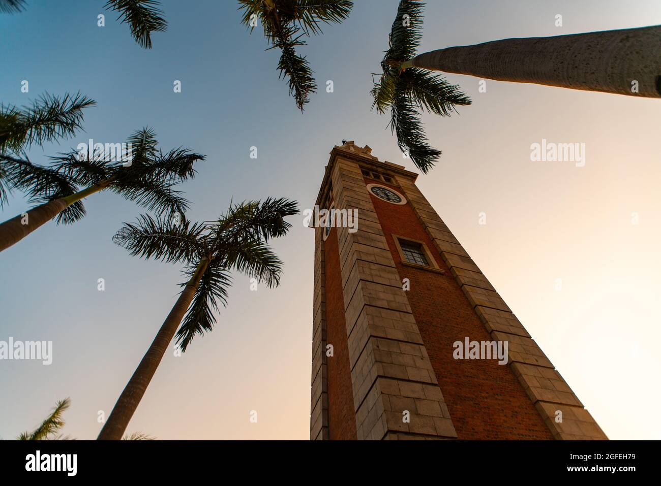 Low angle view of clock tower and palm trees against sky Stock Photo