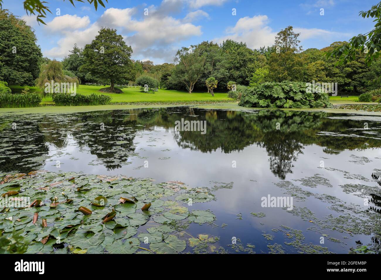 Bonython Estate Gardens, Garden, Helston, Cornwall, England, UK Stock Photo