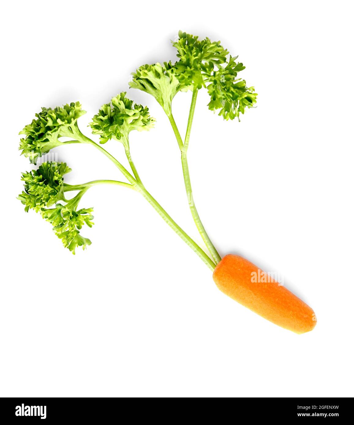 Fresh baby carrot with leaves on white background Stock Photo Alamy
