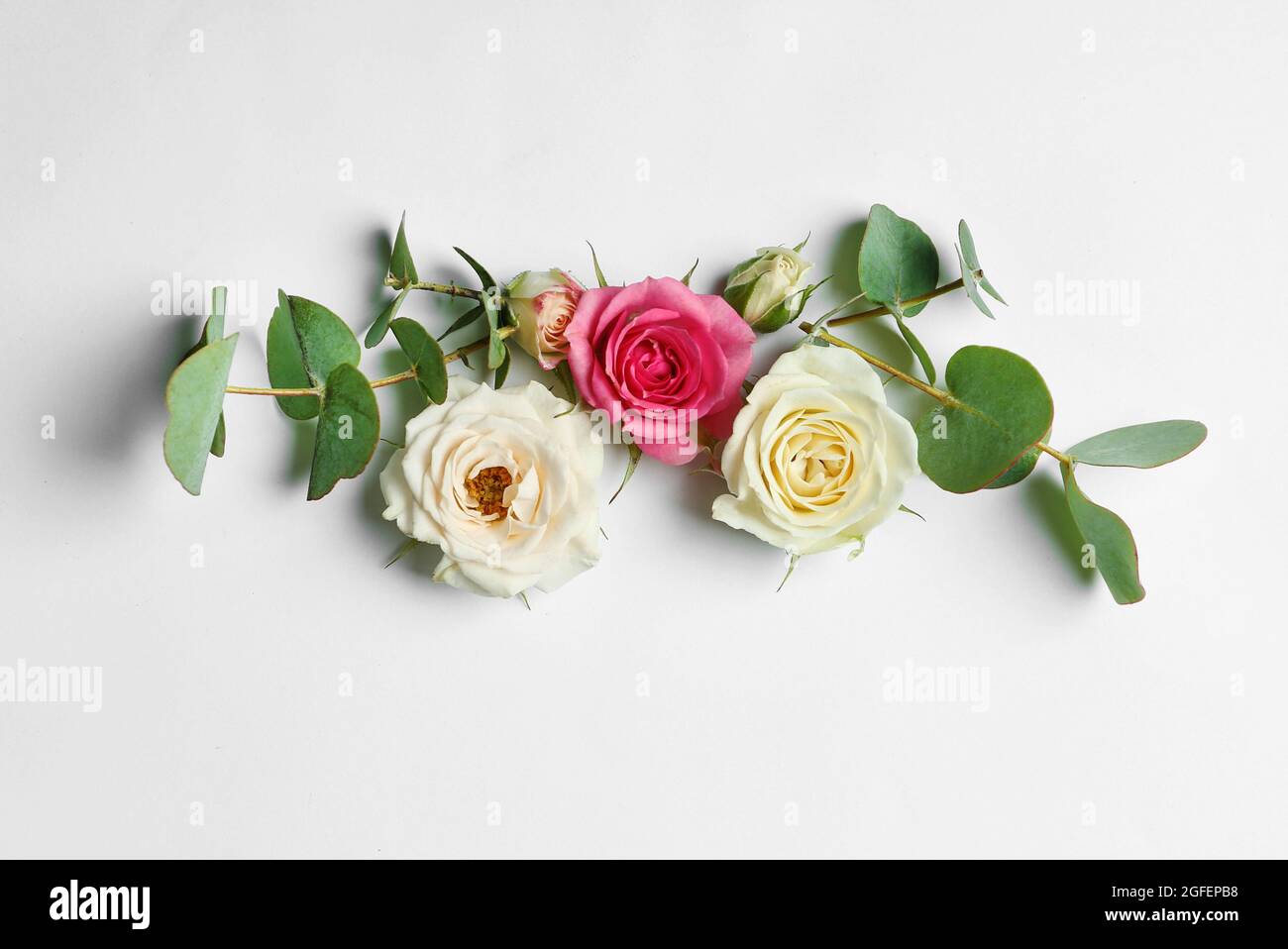 Assorted roses heads on white background Stock Photo - Alamy