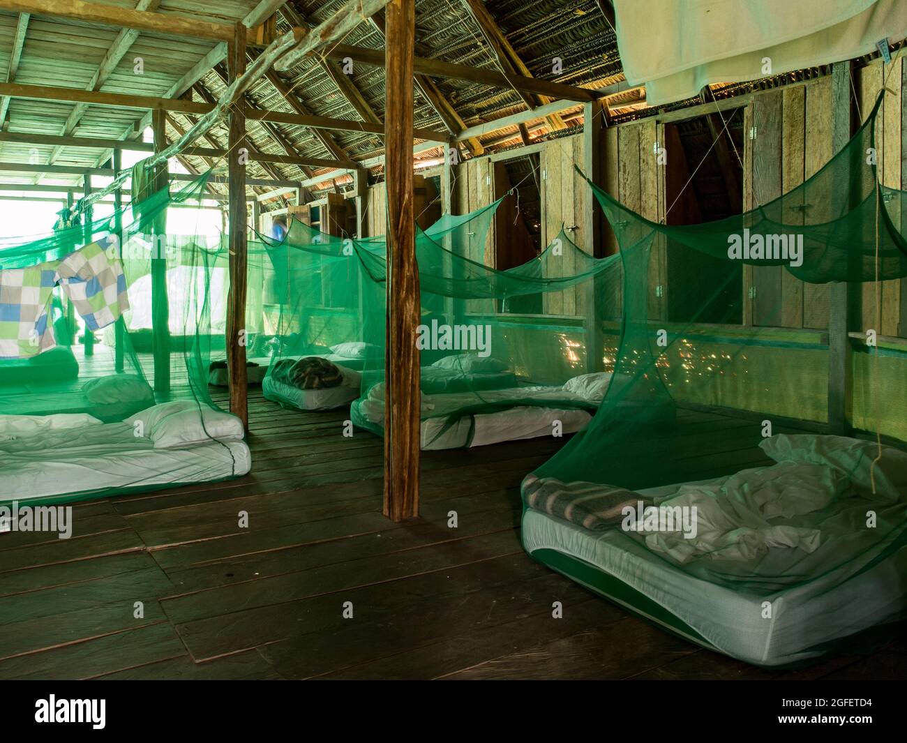 Simple under mosquito nets in the rainforest of Amazon