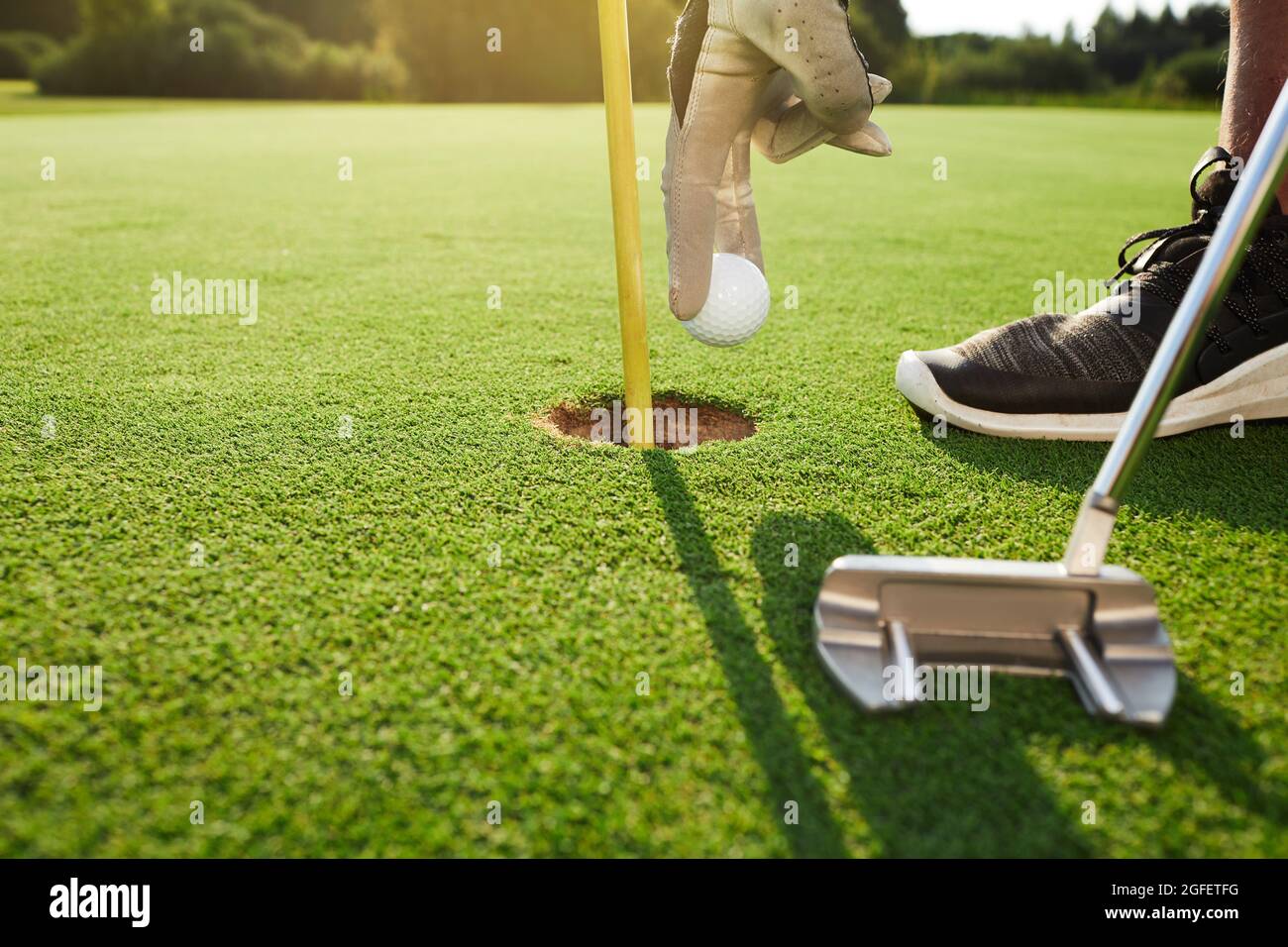 Golfer takes out golf ball from hole in golf course after successful hit using putter, in a sunny day outdoor Stock Photo