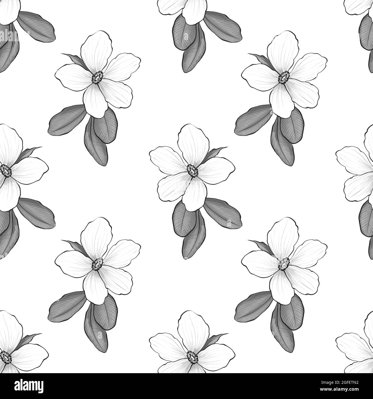 Black and white floral endless pattern hi-res stock photography and ...