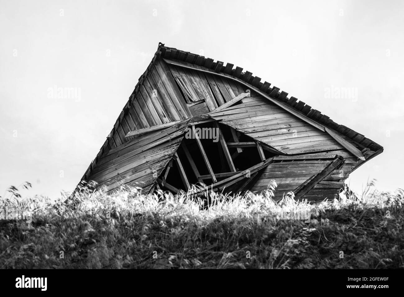 Dilapidated wood barn seen from the rural wheat fields Stock Photo