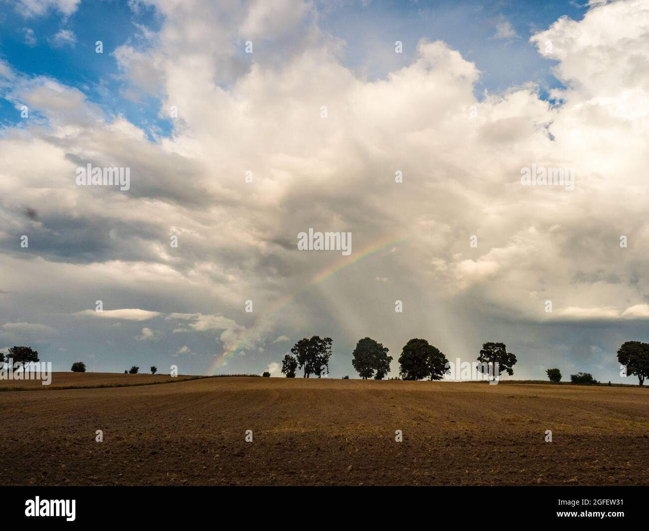 A rainbow over a line of trees on a hill in a plowed field Warmia and Masuria. Poland Stock Photo