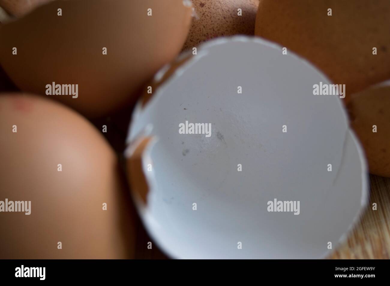 Brown speckled empty eggshells on the kitchen worktop Stock Photo