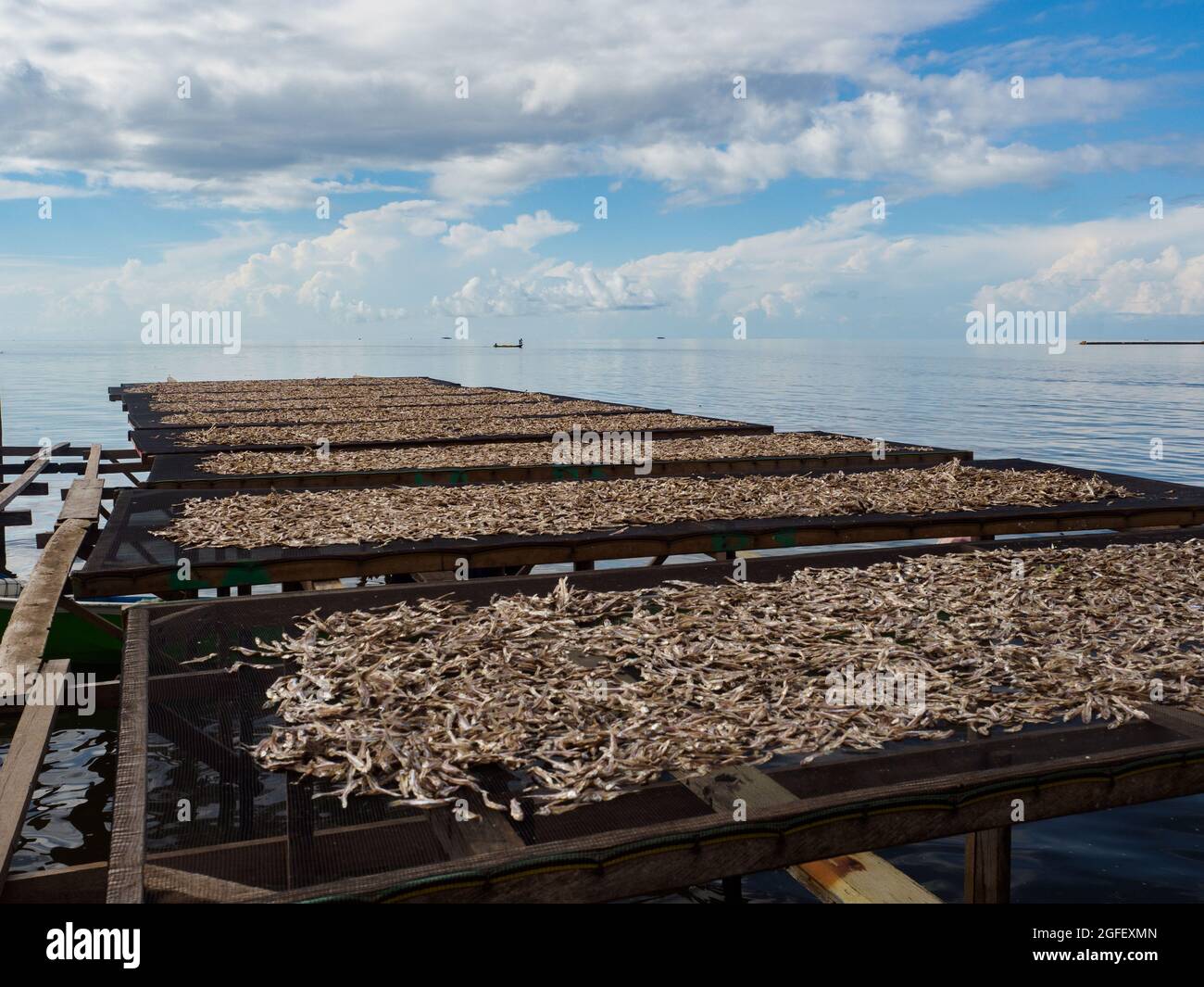 The Fish Dries On Specially Prepared Nets At The Seram Sea In Kaimana Fishing Aktivitas Menjemur Ikan Kaimana Bird S Head Peninsula West Papua Stock Photo Alamy