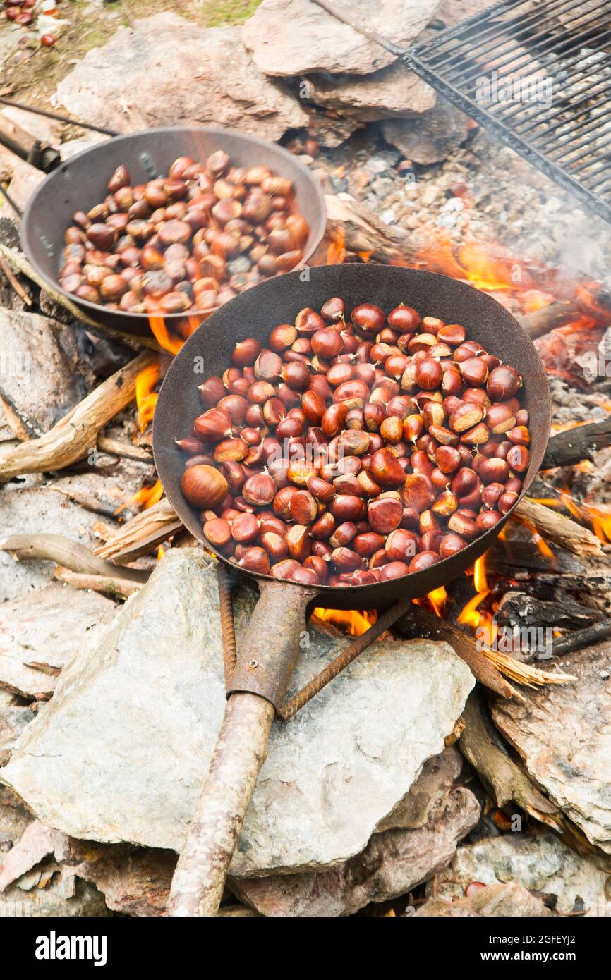 Baking pans with chestnut typical of high heat Stock Photo Alamy