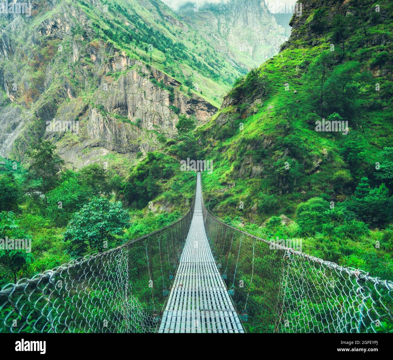 Suspension metal bridge and beautiful green forest in mountains Stock Photo