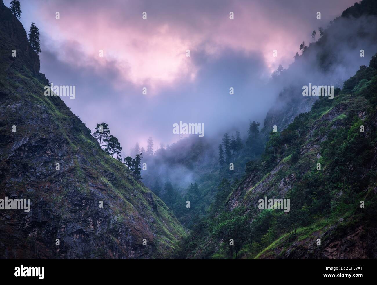 Mountain in low clouds at sunset in summer. Aerial view of canyon Stock Photo