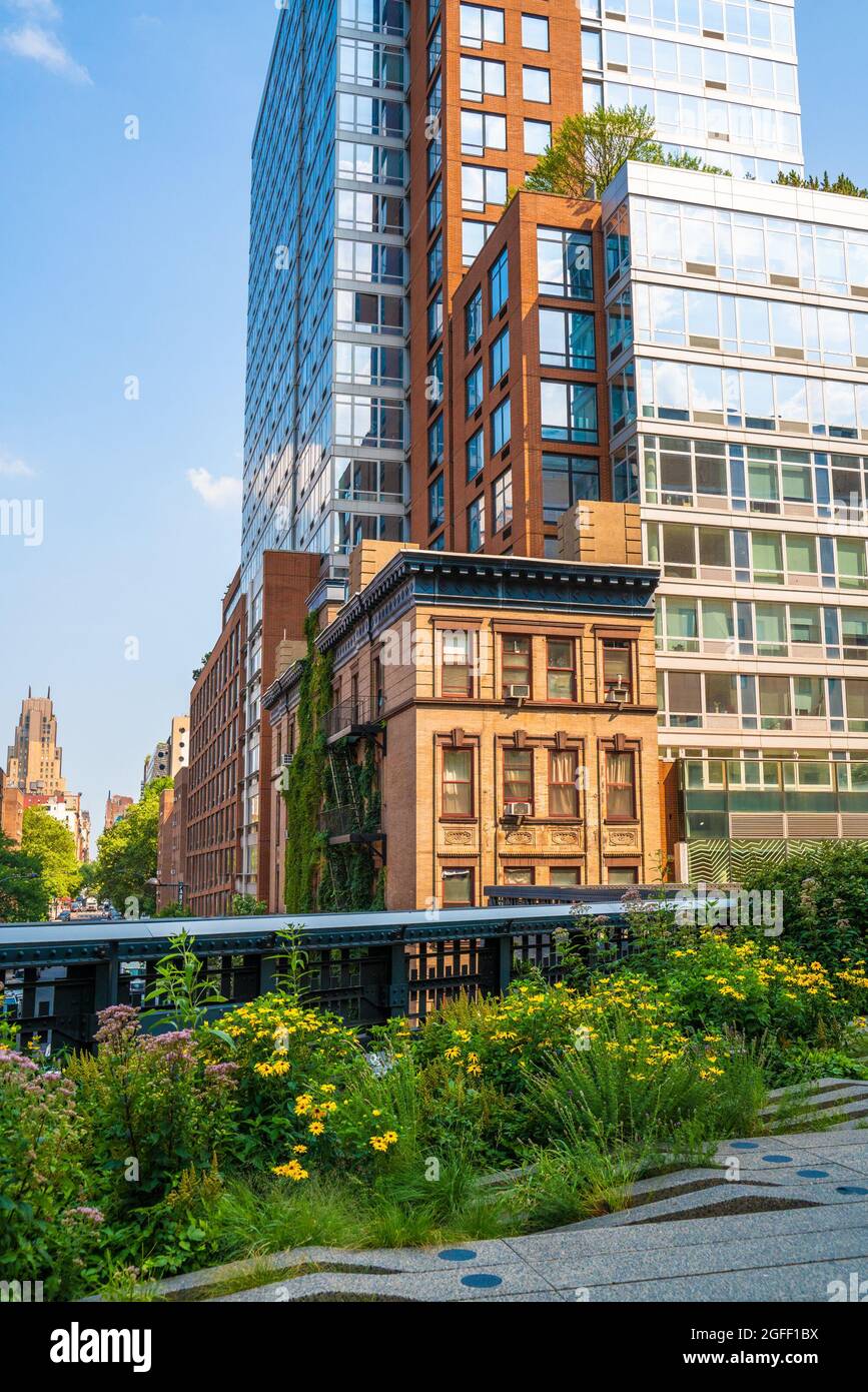 Scene from High Line Park in New York City Manhattan Stock Photo Alamy