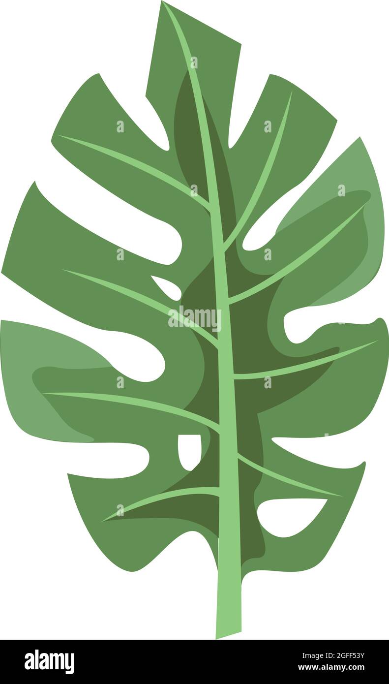 tropical leaf exotic Stock Vector Image & Art - Alamy