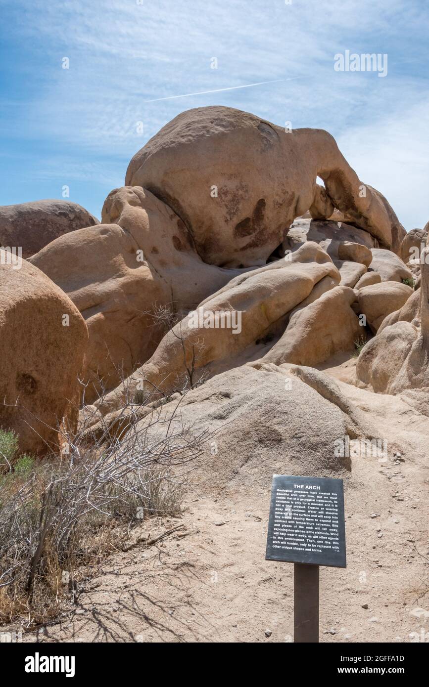 Finding Arch Rock in a rare moment with no people visible. The 30-foot arch is of Joshua Tree National Park's most popular easy hiking destinations. Stock Photo