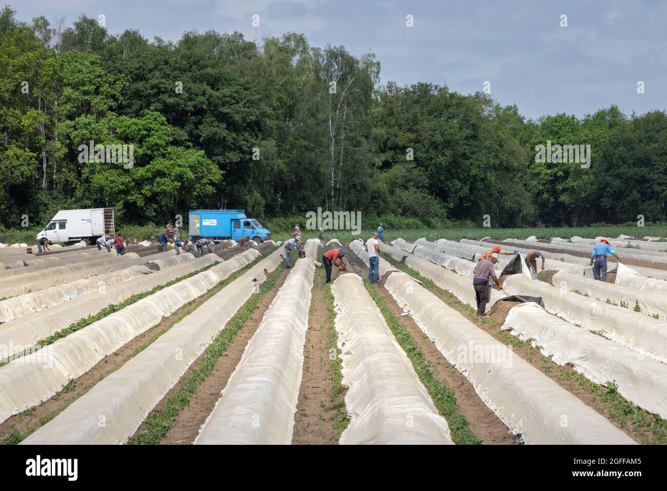 Workers busy hires stock photography and images Alamy