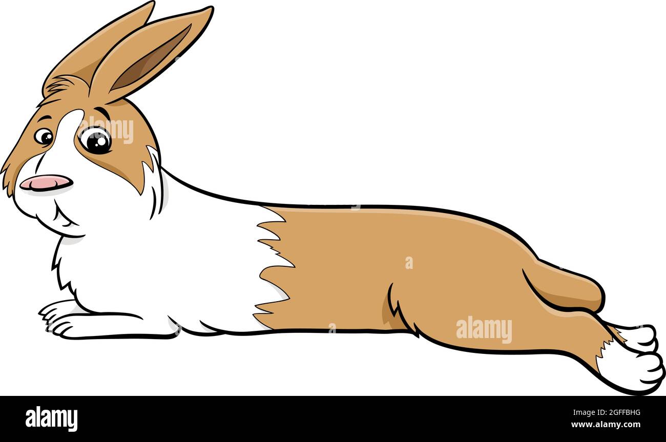 Cartoon illustration of cute lying dwarf rabbit comic animal character