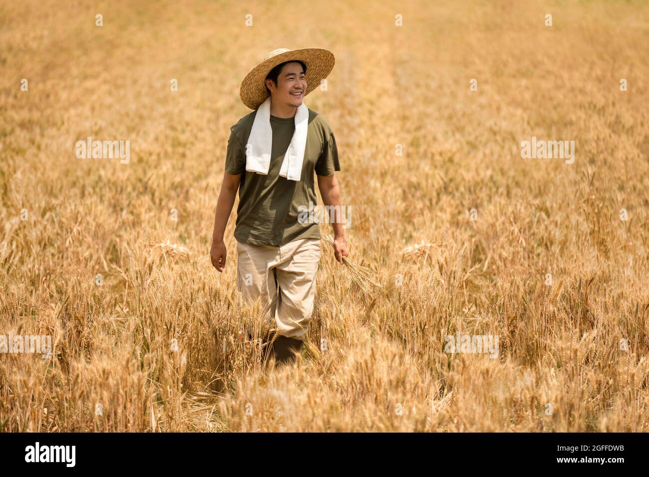Farmer walking away hi-res stock photography and images - Alamy